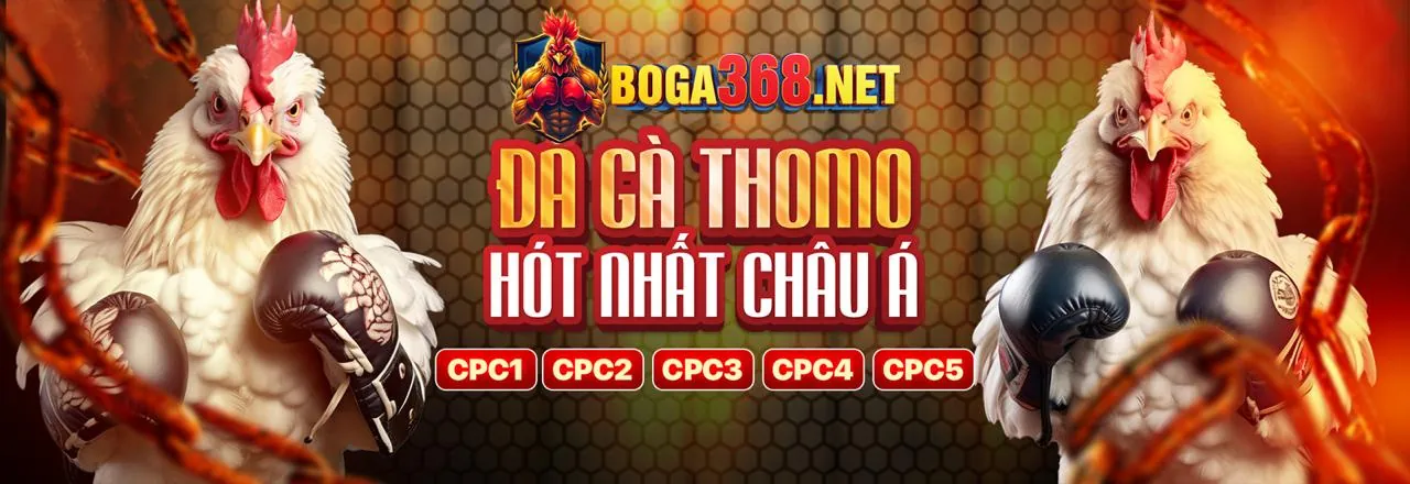 Sân đấu đá gà kịch tính tại fk22 Trang Chủ Chính Thức